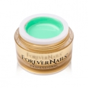 Gel UV colorat ForeverNails 2 in 1 Mint Green 15g P021