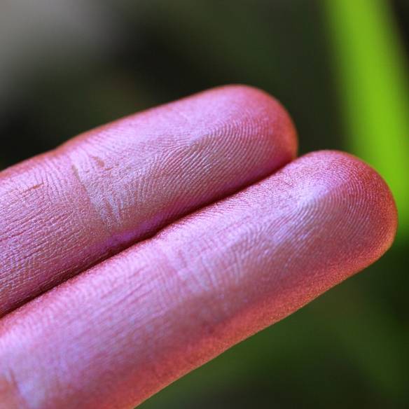 Pigment make up ForeverGlow 709 PARADE